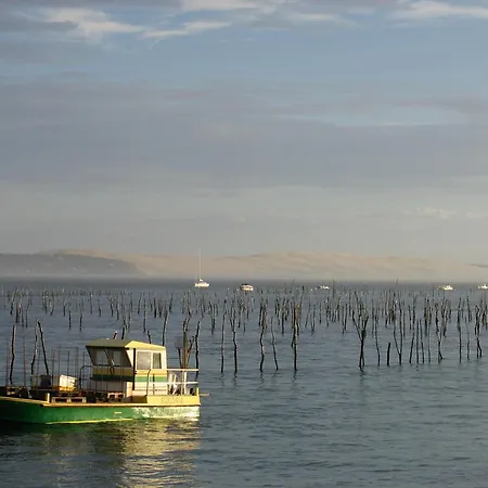 T3 Avec Terrasse Et Wifi, Proche Port à - Fr-1-420-142