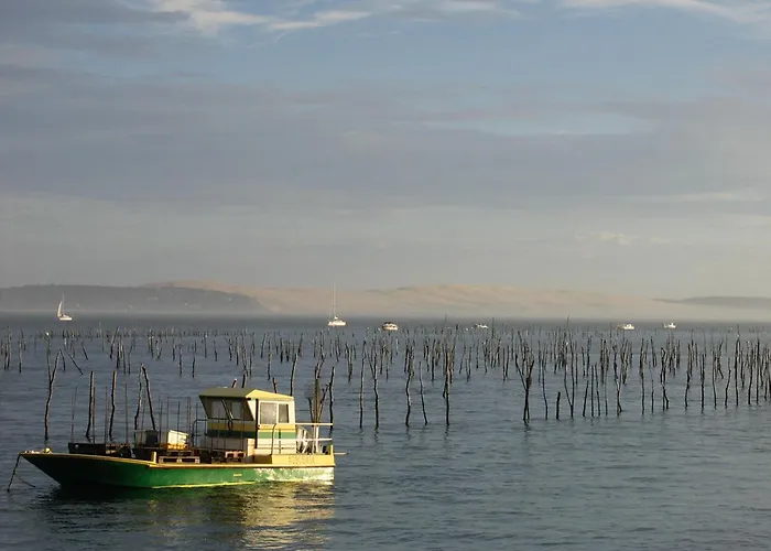 T3 Avec Terrasse Et Wifi, Proche Port à - Fr-1-420-142