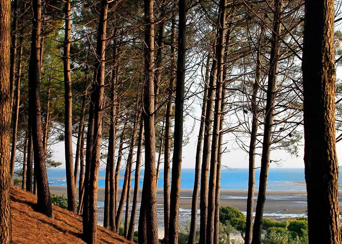 T3 Avec Terrasse Et Wifi, Proche Port A - Fr-1-420-142 شقة *